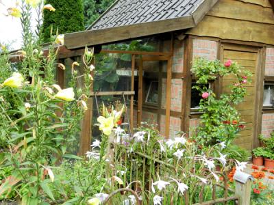 Holz-Gartenhütte umgeben von Blumen.