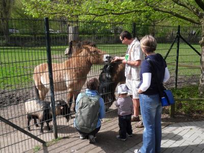 Familie füttert Tiere im Klever Tiergarten
