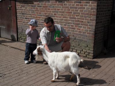 Vater mit kleinem Sohn füttert eine Ziege im Klever Tiergarten