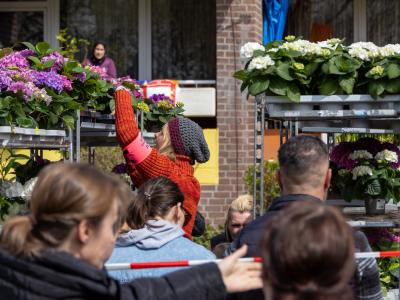 Blumen werden auf dem Südstadtfest verteilt