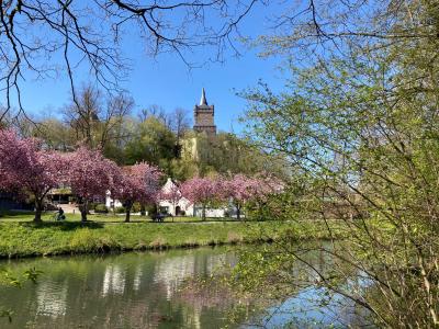 Blick auf die Schwanenburg, im Vordergrund der Kermisdahl mit blühenden Kirschbäumen